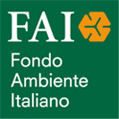 Programma FAI