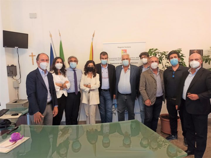 Al via il progetto  “Valorizzazione e salvaguardia del vigneto Sicilia”. Scilla: «Potenziare la competitività delle imprese»