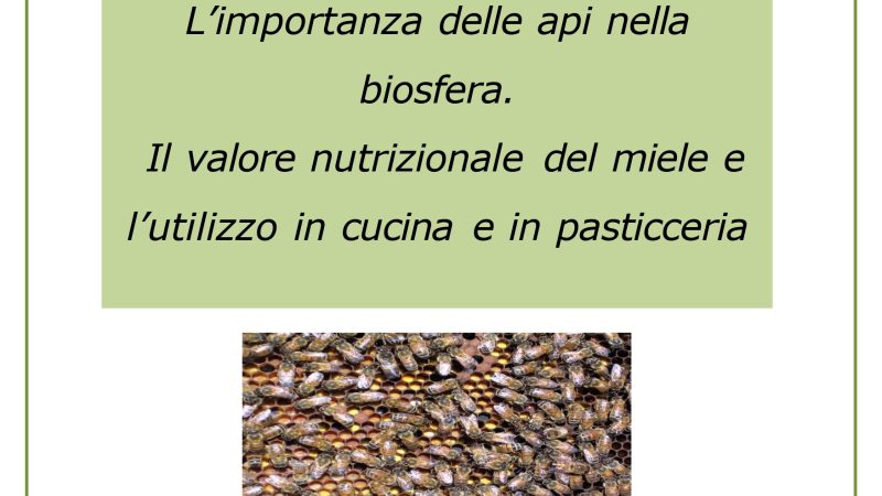 L’importanza delle api nella biosfera.           Il valore nutrizionale  del miele e l’utilizzo in cucina  e in pasticceria