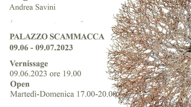 Inaugurata a Palazzo Scammacca              “La bellezza mostruosa degli alberi”